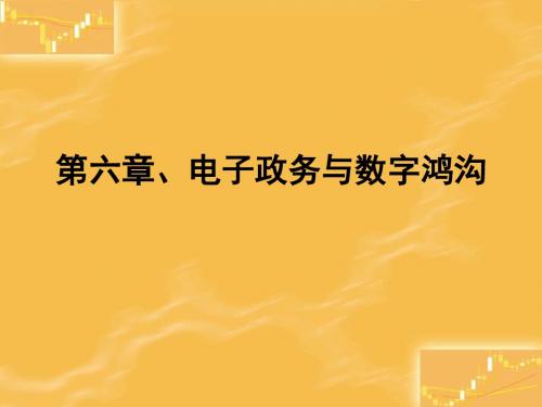 06电子政务与数字鸿沟(1)