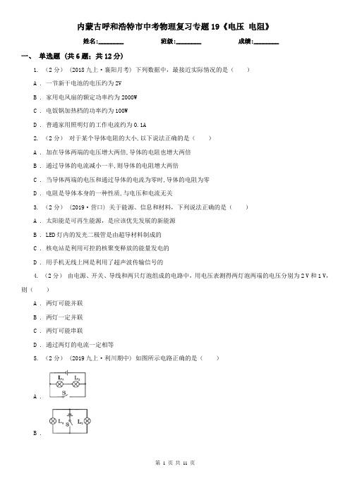 内蒙古呼和浩特市中考物理复习专题19《电压 电阻》