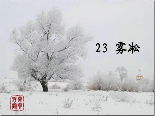 苏教版四年级上册《雾凇》课件