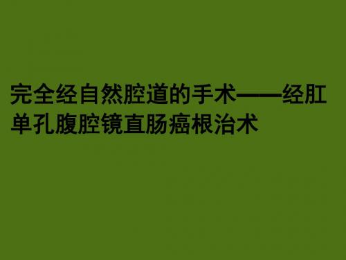 完全经自然腔道的手术——经肛单孔腹腔镜直肠癌根治术