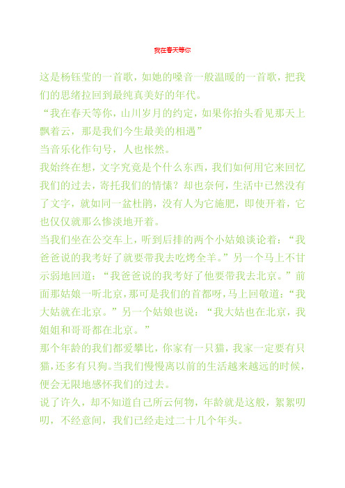 我在春天等你