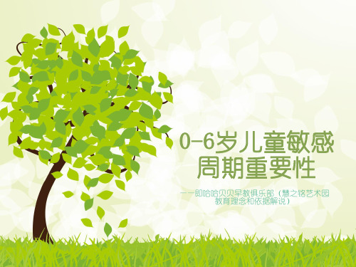 0-6岁儿童敏感周期与大脑发展规律