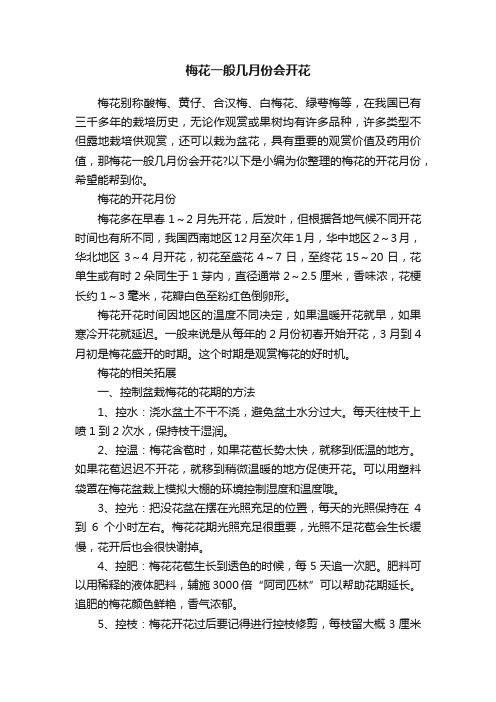 梅花一般几月份会开花