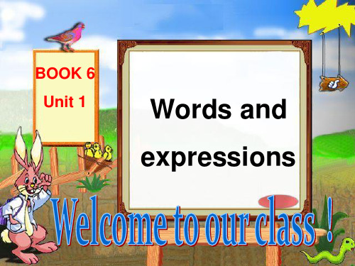 book6unit1词汇讲解