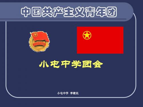 中国共产主义青年团