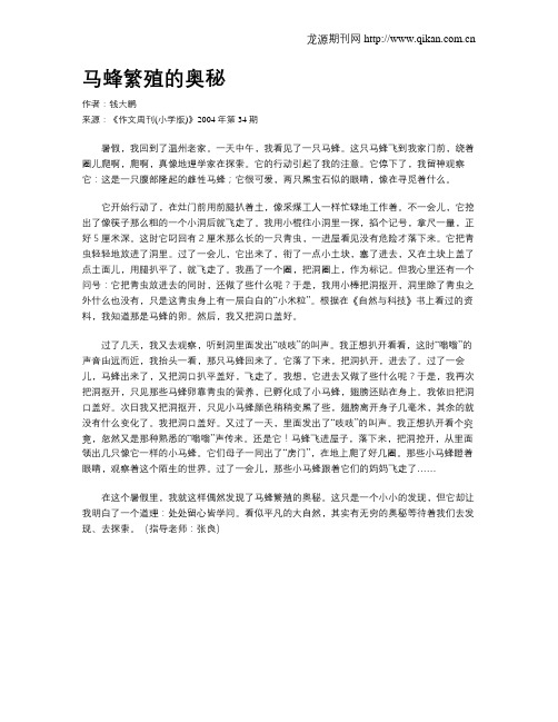 马蜂繁殖的奥秘
