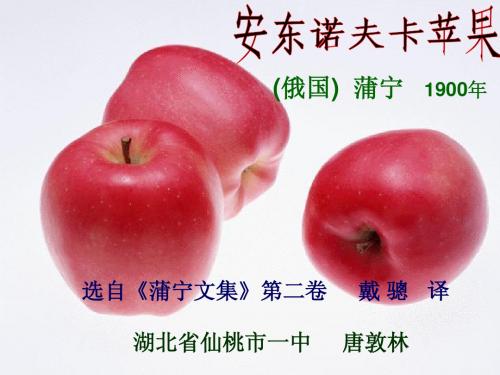 安东诺夫卡苹果