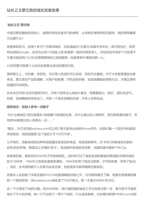站长之王蔡文胜的域名发家故事