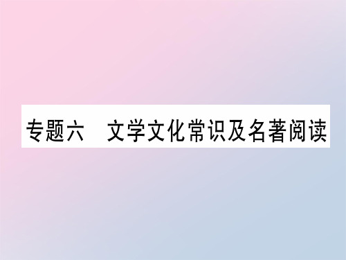 专题六 文学文化常识及名著阅读