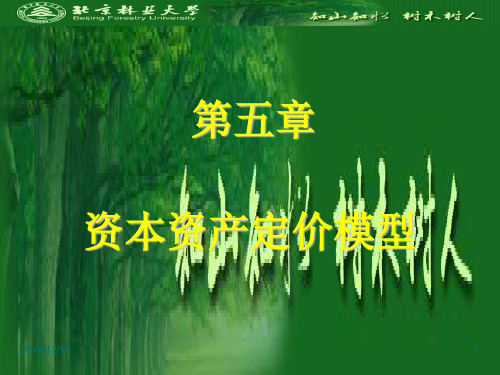 第五章资本资产定价模型课堂-精选