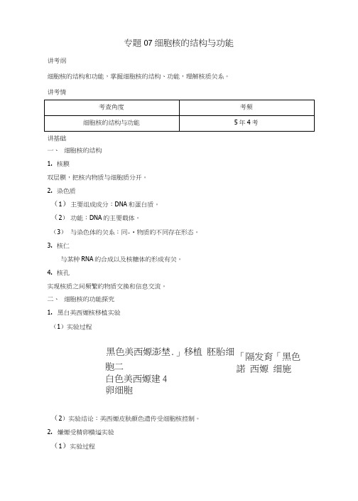 2019年高考生物一轮复习专题07细胞核的结构与功能(讲).docx
