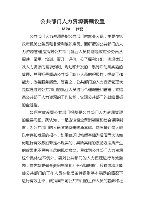 公共部门人力资源薪酬设置