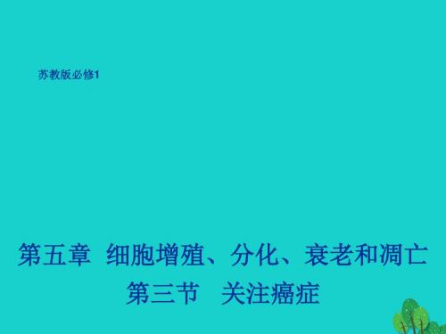 高中生物第五章细胞增殖、分化、衰老和凋亡5.3关注癌症2课件苏教版必修1