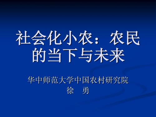 徐勇：社会化小农：机遇与风险