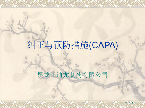 纠正与预防措施(CAPA)