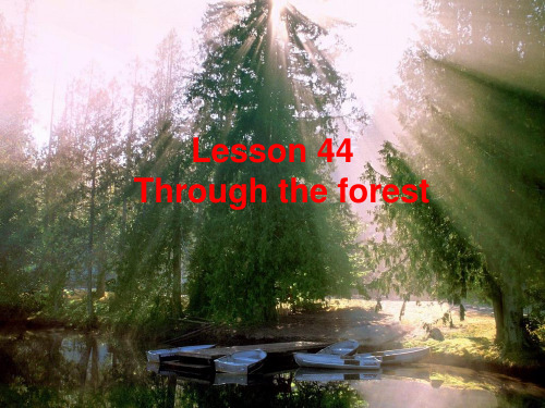 新概念第二册lesson44 through the forest