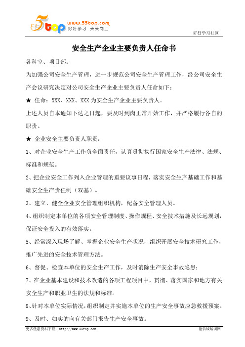 安全生产企业主要负责人任命书
