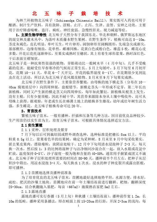 北五味子