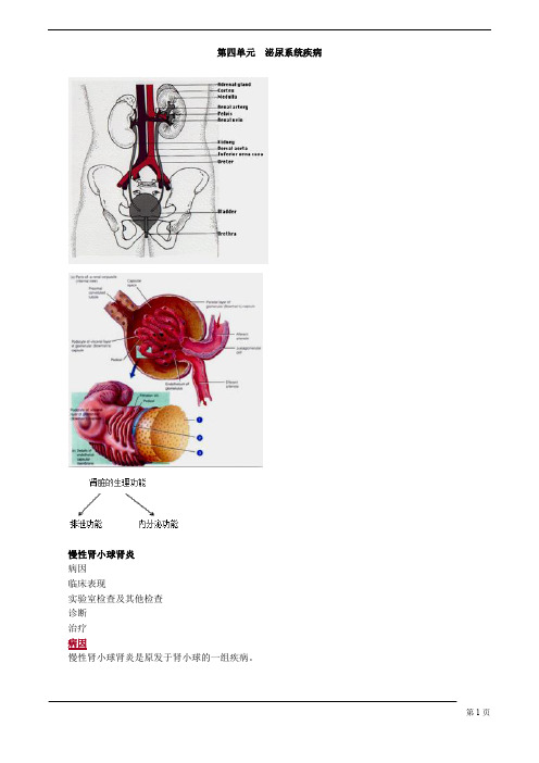 【基础】中医助理-内科学-泌尿系统疾病