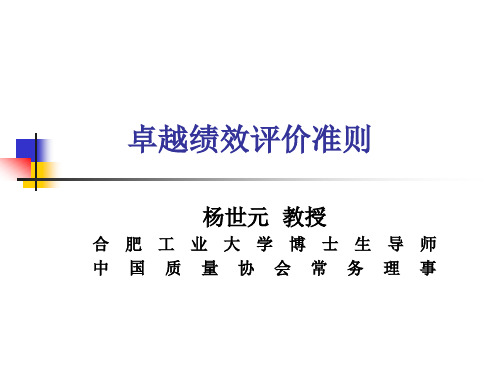 卓越绩效评价准则(新标准)