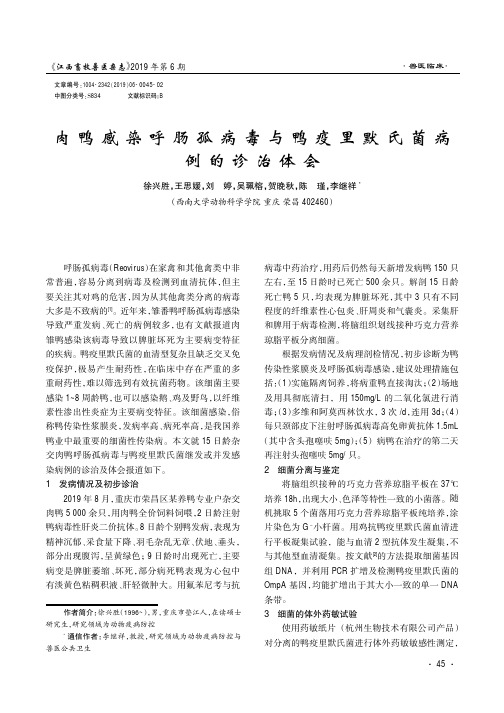 肉鸭感染呼肠孤病毒与鸭疫里默氏菌病例的诊治体会