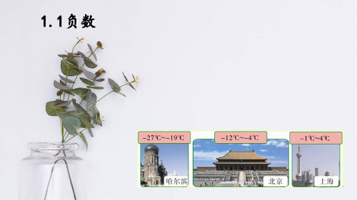 《负数》ppt课件1
