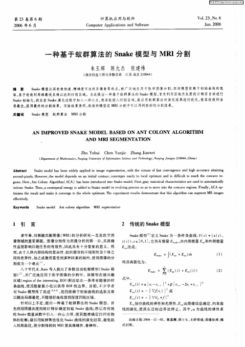 一种基于蚁群算法的Snake模型与MRI分割