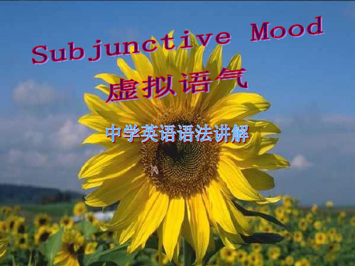 初中英语语法-虚拟语气