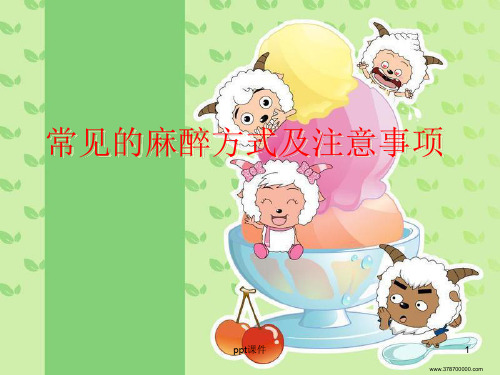 常见的麻醉方式及注意事项  ppt课件
