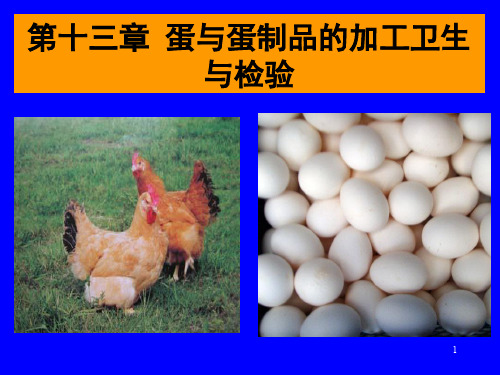 动物检疫学第十三章 蛋与蛋制品的加工卫生与检验[精]