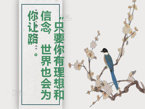 我的未来不是梦ppt