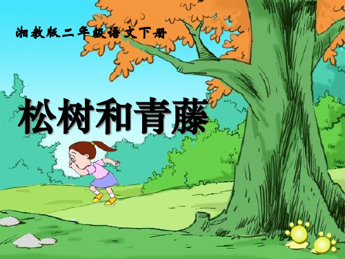 《松树和青藤》PPT课件三