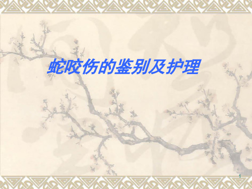 毒蛇咬伤护理ppt课件