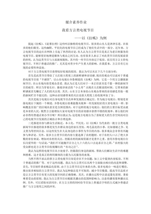 我看方言电视节目