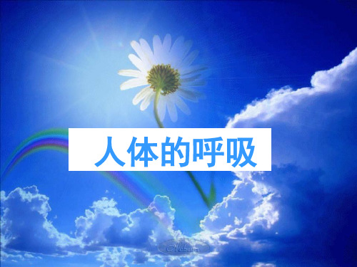 人教版初中生物七年级下册 《第三章 人体的呼吸》(优课)课件