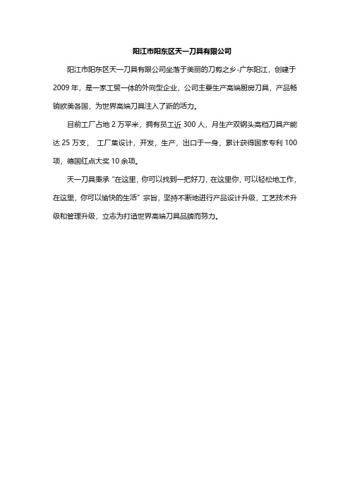 阳江市阳东区天一刀具有限公司