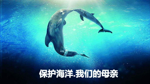 海洋环境保护宣传PPT模板