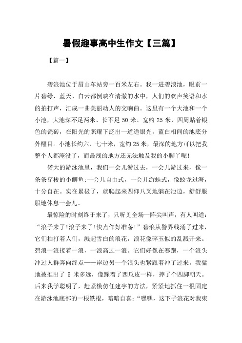 暑假趣事高中生作文【三篇】