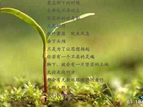 生命_生命_杏林子_课件