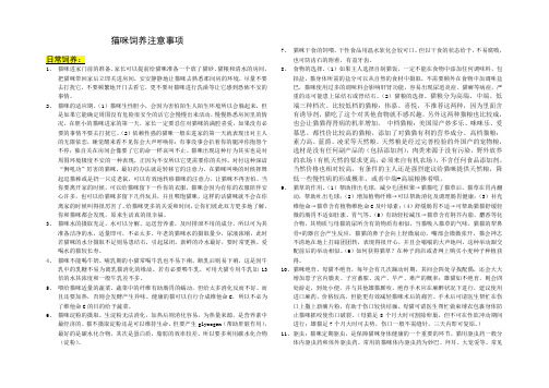 猫咪饲养的注意事项