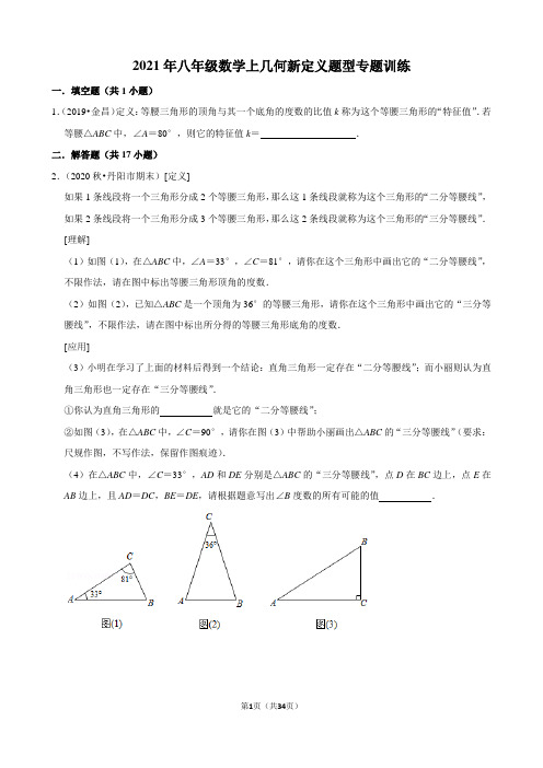 【精品】2021年八年级数学上几何新定义题型专题训练含答案与试题解析