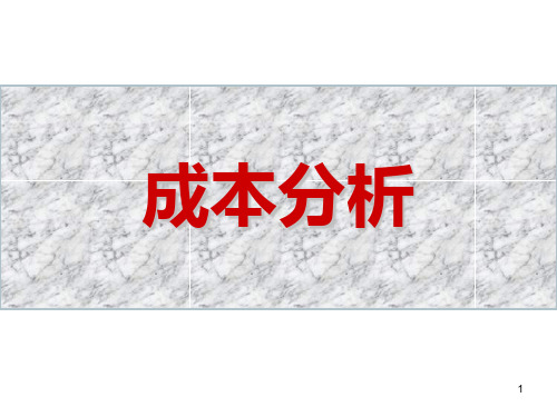 项目成本分析PPT课件