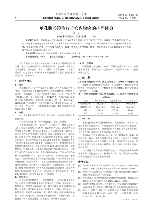 单孔腹腔镜治疗子宫内膜癌的护理体会