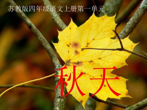 苏教版四年级上册《秋天》PPT课件 3