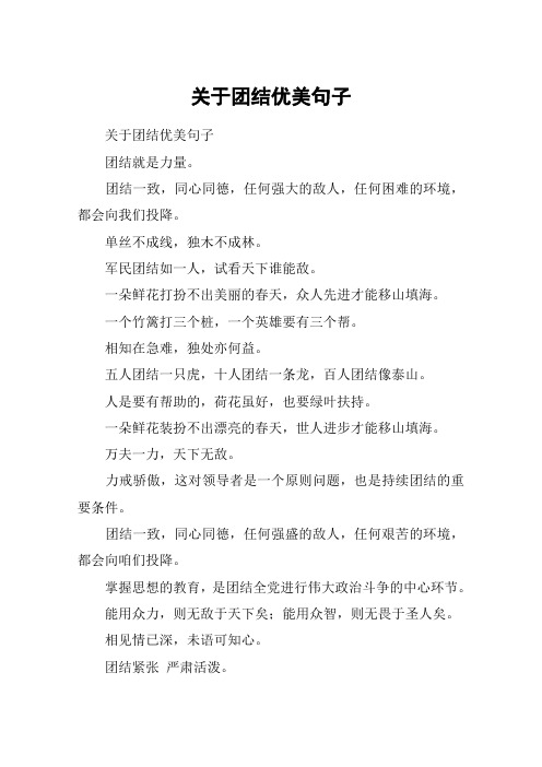 关于团结优美句子