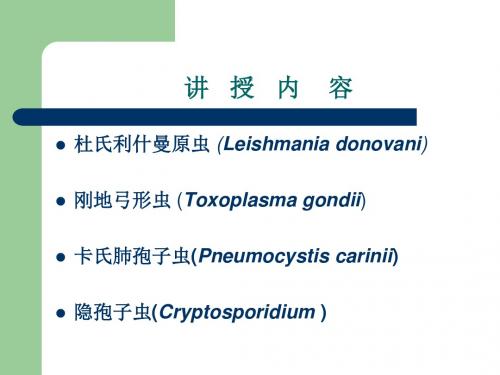 杜氏利什曼原虫、刚地弓形虫、卡氏肺孢子虫、隐孢子虫 PPT课件