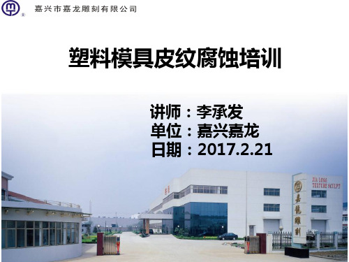 塑料模具皮纹腐蚀培训PPT课件