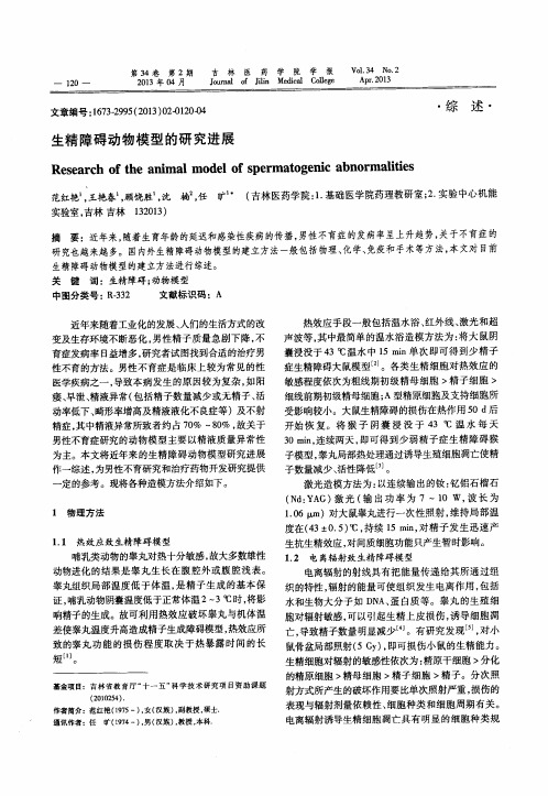 生精障碍动物模型的研究进展