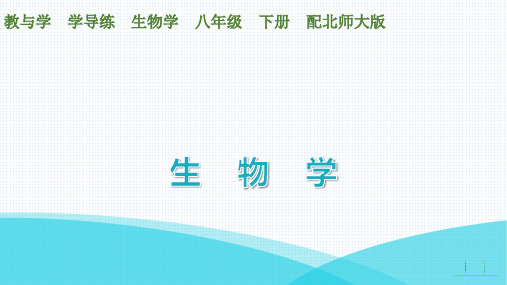 最新北师大版八年级下册生物第25章生物技术第1节发酵技术