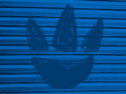 adidas运动经典品牌介绍 (三叶草)